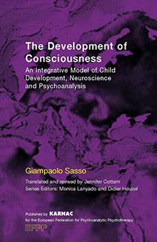 Cover -The Development of Consciousness