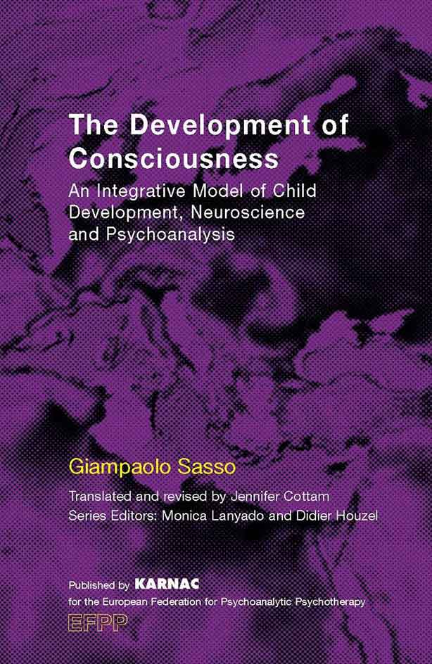 The Development of Consciousness Cover - The Development of Consciousness
